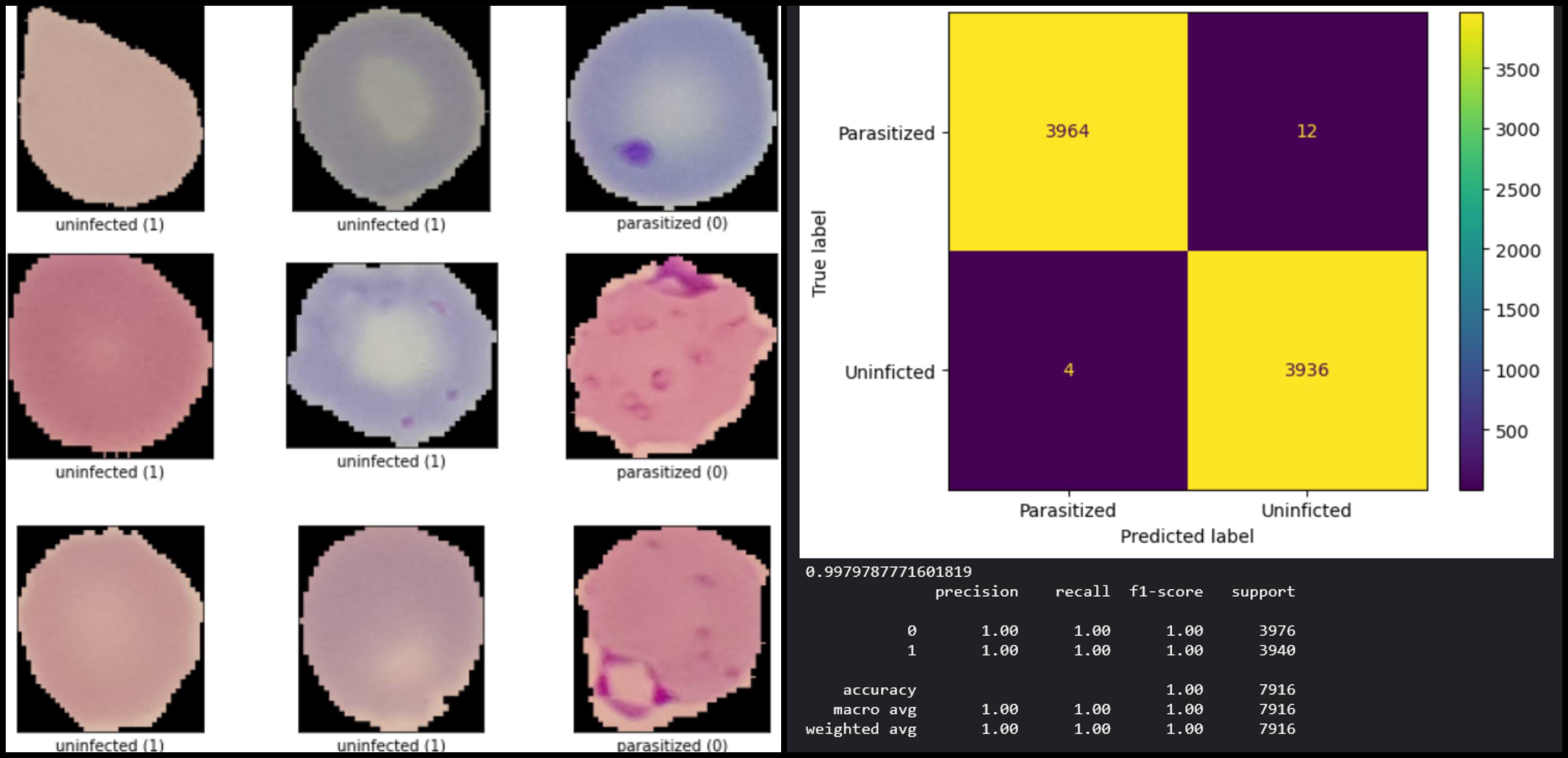 Best Practices for Computer Vision Models